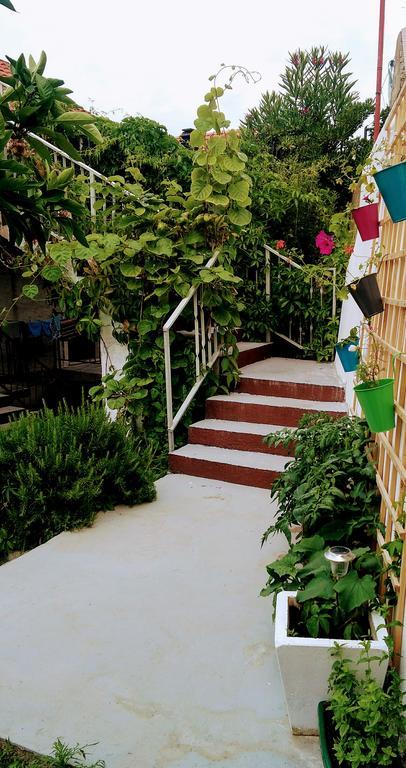 ילסה Sofia'S Way Apartments מראה חיצוני תמונה